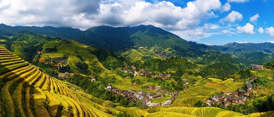 1602123633388077022.jpg 1.jpg