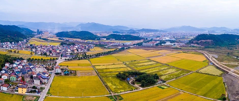 1602123692624000824.jpg 4.jpg